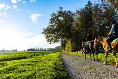 Tablo Kreuzlingen yakınlarındaki bir İsviçre ormanının orman girişini gösteriyor. Fotoğraf sonbaharda gün batımından önce çekildi. Fotoğrafta ata binen bir çift görülüyor.