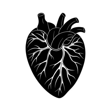 kalp vektör sanatı çizimi 