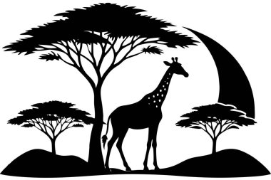 Bir zürafa vektör sanatı ile savanda gün batımı 