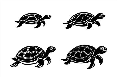  Kaplumbağa 4 farklı vektör simgesi çalıştırıyor