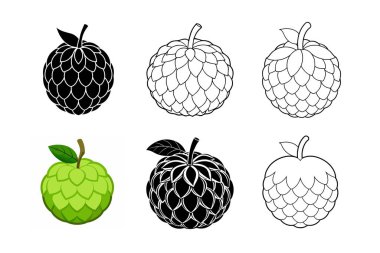  6 farkli Sugar Apple vektör sanat illüstrasyonu