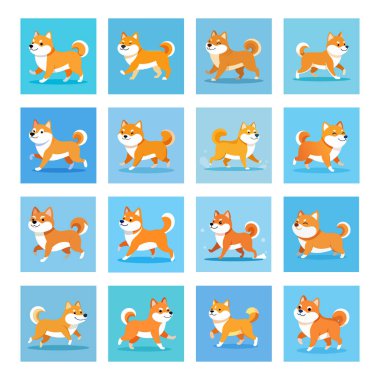 Şirin tembel Shiba Inu. Shiba köpeği kış sabahı koşmaya tembeldir.