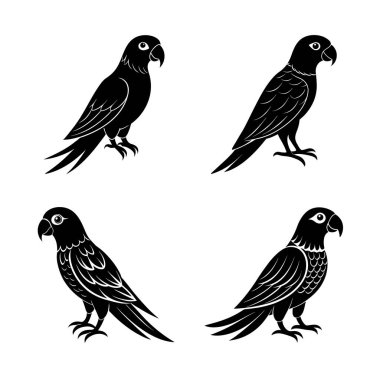 Bir papot siluet vektöründe 4 simge ayarlandı