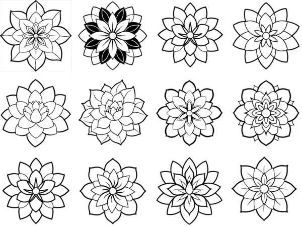 Mandala çiçek vektör çizimi 12 fark eder