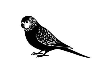 kuş silueti vektör sanat çizimi