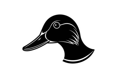 Mallard Duck sanat vektörü çizimi