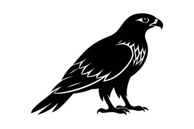 Kızıl kuyruklu Hawk siluet vektör sanatı