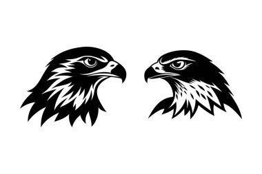 Kızıl kuyruklu Şahin kafa siluet vektör sanatı