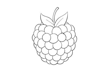 Çocuklar için Ahududu İzole Edilmiş Vektör Resimlendirme Sayfası Çizimi