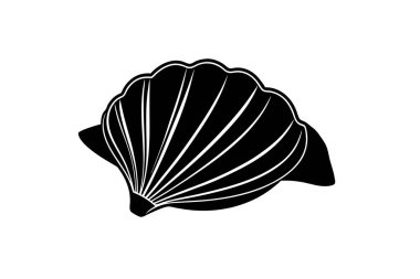 beyaz arkaplanda kabuk vektör sanat çizimi 