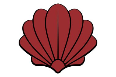 beyaz arkaplanda kabuk vektör sanat çizimi 