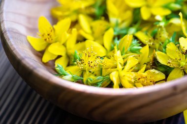 St. John otu. Hypericum bitkileri alternatif tıpta kullanılan sarı çiçekleri eski bir masadaki ahşap bir tabakta. Homeopatik tedaviler için tıbbi bitkiler Hypericum. Üst görünüm