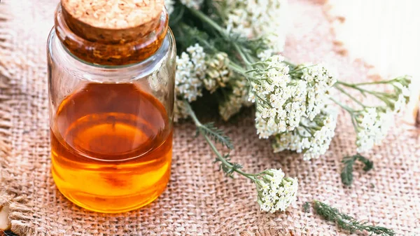 Yarrow herbal tincture in white bottle with a cork. Achillea millefolium white fresh flowers On a wooden cutting board ready for cooking medicines, medicines or drying. Flat lay