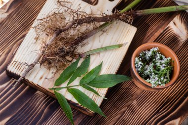 Tahta havanda taze Valeriana resmi çiçekleri. Masada beyaz çiçeklerin arasındaki Valerian tabletleri var. Doğal tıpta Valium 'a alternatif olarak kullanılır.