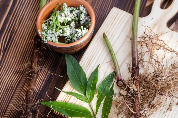 乾燥根茎とバレリアン薬の根 新鮮なバレリアンの花と透明な瓶 天然の漢方薬の薬用成分 — ストック写真