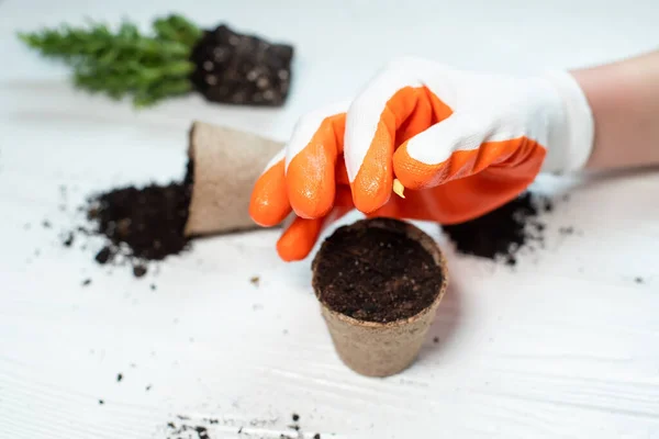 Planting seeds in spring. seeds in hand against soil in paper pots, watering can on craft paper.