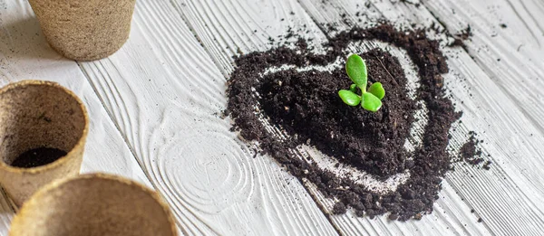 child's hand planted with green sprout in soil in form of heart. Earth day concept. nurturing baby plant. protect nature. Peat pots for planting,