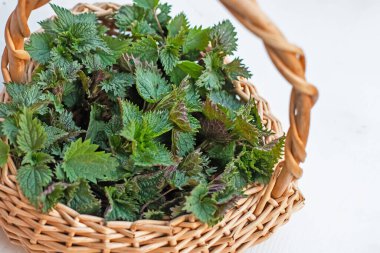 Çevre dostu ısırgan otlarından toplanmış. Hasır sepetteki ısırgan otu çalısı. Mesaj için yer. Boşluğu kopyala