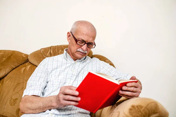 Elderly Man Reads Plan Day Glider Book Study Business Retirement — Stock Photo, Image