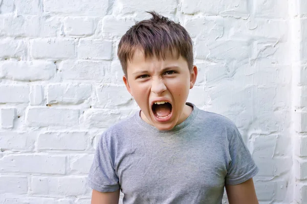 stock image The boy shouts loudly demanding to start studying during the holidays. A child with his mouth wide open against a brick wall.