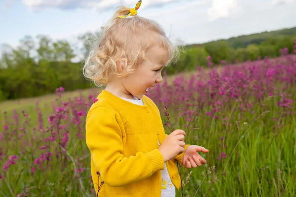 A funny girl in a field with pink flowers. A child in a yellow jacket walks in the evening in the meadow.