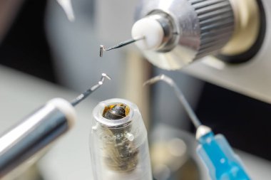 Adım 1. Adım adım drone spermlerini rahim boşluğuna yerleştirme talimatı. Kraliçe arının yapay döllenmesi. Kancalar, şırınga tutacakları ve vezir tutacağı.