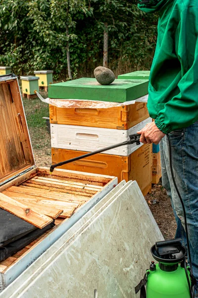 将草酸应用于水溶液中 在蜜蜂身上杀死Varroa螨 养蜂场的秋季工作 — 图库照片