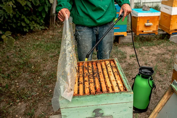 Včelař Zalévá Dřevěný Rám Postřikovačem Otevřít Včelí — Stock fotografie