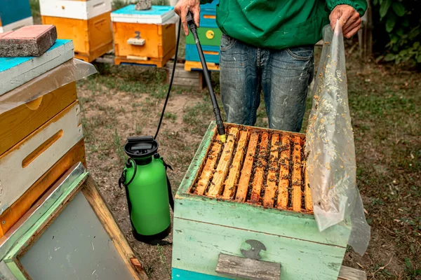 Beekeeper Treats Bees Varroa Mite Varroa Destructor — Stock Photo, Image