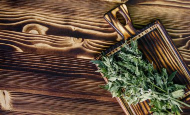 Leonurus kardiyak, orospu çocuğu, kurt otu, aslan kulağı, tahta kesme tahtasındaki aslan kuyruğu tıbbi bitkisi. Kozmetik bilimi ve geleneksel olmayan tıp malzemeleri. Yazın çiçek açıyor. Üst Manzara. Düz yatıyordu. Boşluğu kopyala