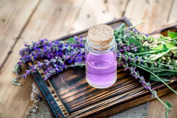 stock image Bouquet of fresh sage flowers. Homemade and aromatic herbs on a rustic background. A set of dry culinary herbs