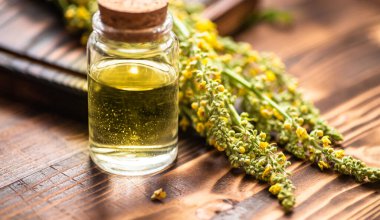 Verbascum nigrum, black mullein veya dark mullein