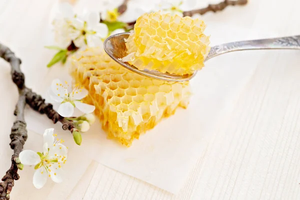 テーブルの上で蜂蜜と黄色のハニカムが壊れてる ハニー製品 健康的な自然食品の概念です スペースのコピー — ストック写真