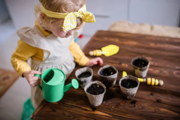 The baby watered the seeds of vegetables planted in environmentally friendly peat cups on a wooden table. Growing seeds for planting on a plantation in the spring
