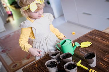 Küçük bir çiftlik asistanı ekolojik tek kullanımlık turba saksılarına tohum ekiyor. İlkbaharda fidanlar büyür