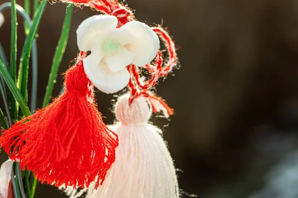 白雪公主花 红白相间 挂着特写 3月1日传统的红白相间的长袍 — 图库照片