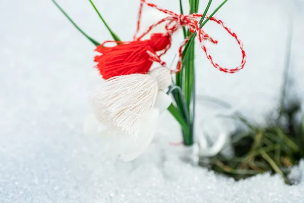Sneeuwklokjes Ontdooide Pleister Het Voorjaar Eerste Voorjaarsvakantie Bulgarije — Stockfoto