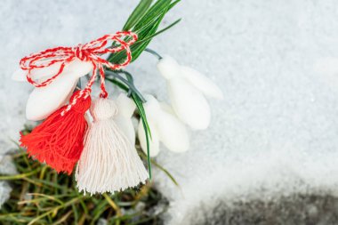 Martenitsa yakın plan. Kar arkaplanındaki çuha çiçeği karları. Baba Marta Günü. Bahar çiçeklerinin duvar kağıdı.