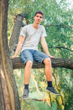 Bir ağaçta velayet bekleyen reşit olmayan genç bir adam.