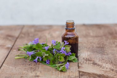 Glechoma Hederacea 'dan ilaç şişesi, sürünen Charlie, alehoof, tunhoof, catsfoot, ahşap masada çiçek açan bir demet merhemin yanında. İlaç bitkilerinin hazırlanması.