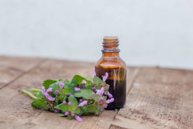 Thymus vulgaris 'ten ilaç şişesi, yaygın kekik, Alman, bahçe ya da ahşap bir masadaki kekik. Tıbbi bitkilerin hazırlanması. Çim iksiri hazır. Etnosbilimi.