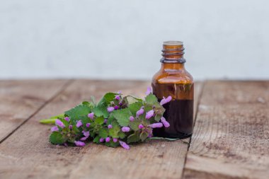 Thymus vulgaris 'ten ilaç şişesi, yaygın kekik, Alman, bahçe ya da ahşap bir masadaki kekik. Tıbbi bitkilerin hazırlanması. Çim iksiri hazır. Etnosbilimi.