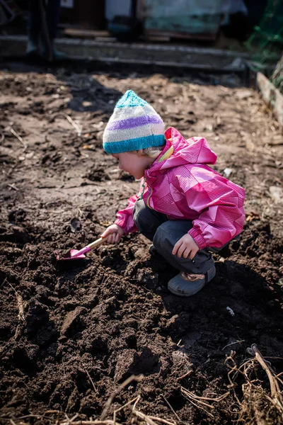 Bir kız baharda bahçede sebze yetiştirmek için bir yatak kazıyor..