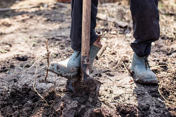农夫穿着肮脏的靴子在花园里干活 他的脚在挖土 以便在春天播种或播种 农业概念 — 图库照片