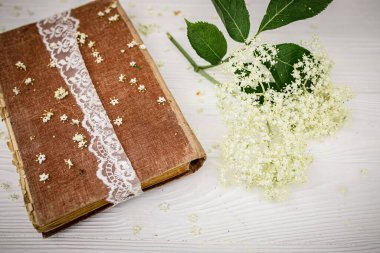 Romantik natürmort. Mürver çiçekli bir dalı olan antika bir kitap. Bahar Okumaları