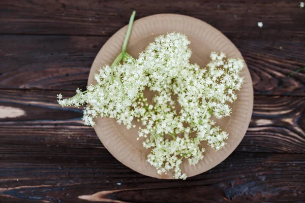 Stock image A plate on a white wooden table with a bunch of elderberry flowers. Ingredient for lemonade with syrup from White elderberry flowers