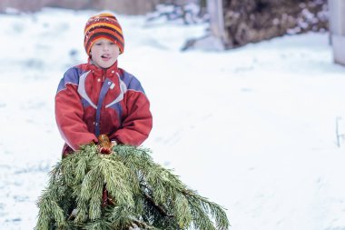 Kışlık takım elbiseli bir çocuk Noel ağacını Noel pazarından sürüklüyor. Aile tatili için hazırlık. Partiden önce Noel ağacını süslemek