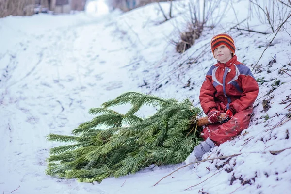 소년이길 있었다 어린이가 크리스마스 장식을 집에서 소나무를 — 스톡 사진
