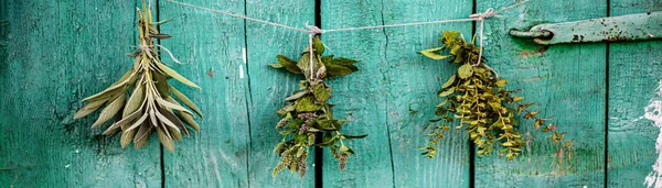 Lemon balm, Melissa officinalis, balm, common balm, or balm mint. Salvia officinalis, common sage, just sage, Mentha suaveolens, apple mint, pineapple mint, woolly mint or round-leafed mint dried by