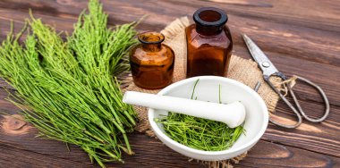 Dilimlenmiş taze at kuyruğu, eczane havanı. Tentürlerin kurutulması ve hazırlanması için hazır.